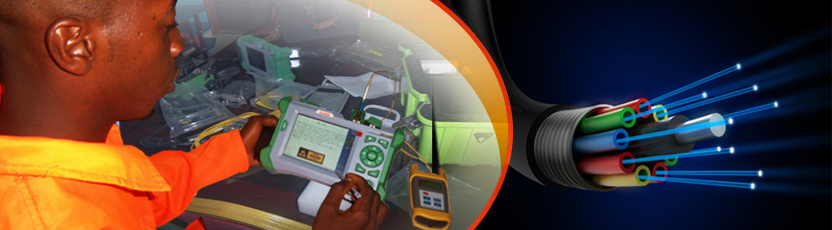 Warehouse Security Systems